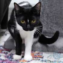 Thumbnail photo of Rachel #2