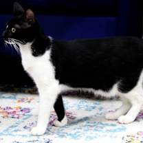 Thumbnail photo of Rachel #4