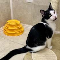 Thumbnail photo of Ira #2