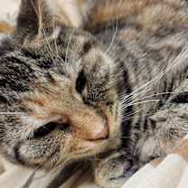 Thumbnail photo of Maddy #2