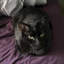 Thumbnail photo of Lucy #4