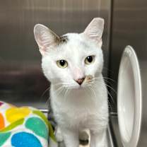 Thumbnail photo of Jamison #2