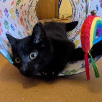 Thumbnail photo of Lottie D #1