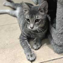 Thumbnail photo of Jack #4