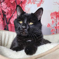 Thumbnail photo of Edward #1