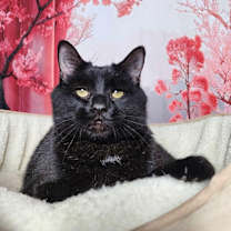 Thumbnail photo of Edward #2