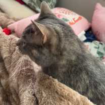 Thumbnail photo of Toast #2