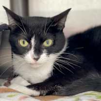 Thumbnail photo of Lovey #3