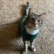 Thumbnail photo of Gibbs #4