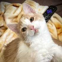 Thumbnail photo of Marty McFly (LG) #4