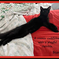 Thumbnail photo of Starr & Comet:Love Galaxies #1