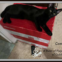 Thumbnail photo of Starr & Comet:Love Galaxies #4