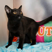 Thumbnail photo of Ceci #3