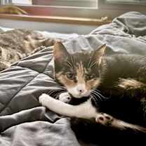 Thumbnail photo of Thalia and Poppy #2