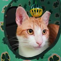 Thumbnail photo of Chance AND Cade #3