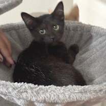 Thumbnail photo of Elliott Trey #4