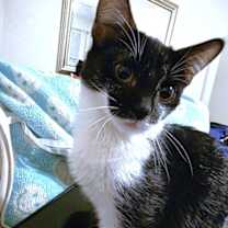 Thumbnail photo of The Professor #3