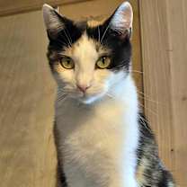 Thumbnail photo of Celia #2