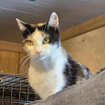 Thumbnail photo of Celia #3