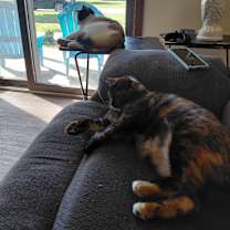 Thumbnail photo of Cally and Hazel #1