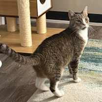 Thumbnail photo of Mac #2