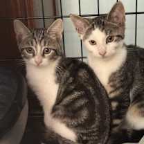 Thumbnail photo of Jack and jill #1