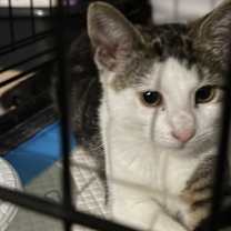 Thumbnail photo of Jack and jill #3