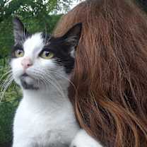 Thumbnail photo of Starlink #3