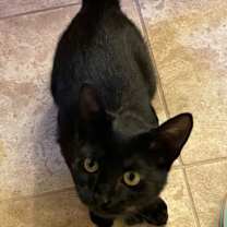 Thumbnail photo of Avril #2