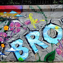 Thumbnail photo of Bronx #4