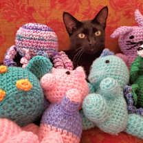 Thumbnail photo of Ziggy #4