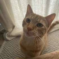 Thumbnail photo of Carl #1