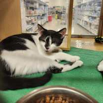 Thumbnail photo of Tom #1