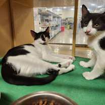 Thumbnail photo of Tom #2