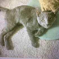 Thumbnail photo of Sugarland #1