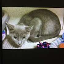 Thumbnail photo of Sugarland #4