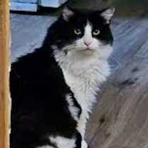 Thumbnail photo of Moufie #2