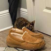 Thumbnail photo of Adele #2