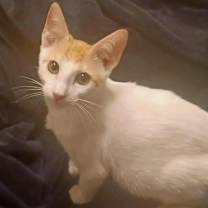 Thumbnail photo of Francois #1