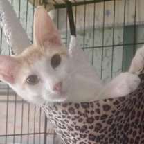 Thumbnail photo of Francois #2