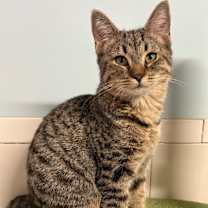 Thumbnail photo of Twix #1