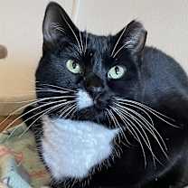 Thumbnail photo of Marcie #2