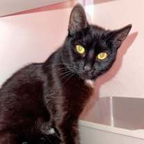 Thumbnail photo of Mother Boo #2