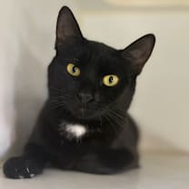 Thumbnail photo of Mother Boo #4