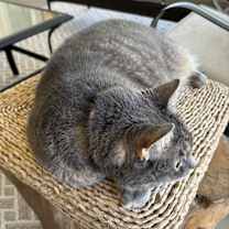 Thumbnail photo of Gracie June #1