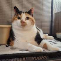 Thumbnail photo of Polly #2