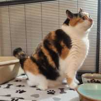 Thumbnail photo of Polly #3