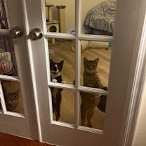 Thumbnail photo of Cora #2