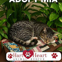 Thumbnail photo of Mia #3