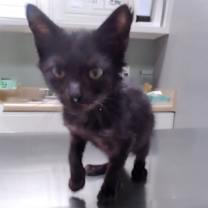 Thumbnail photo of Spencer #2